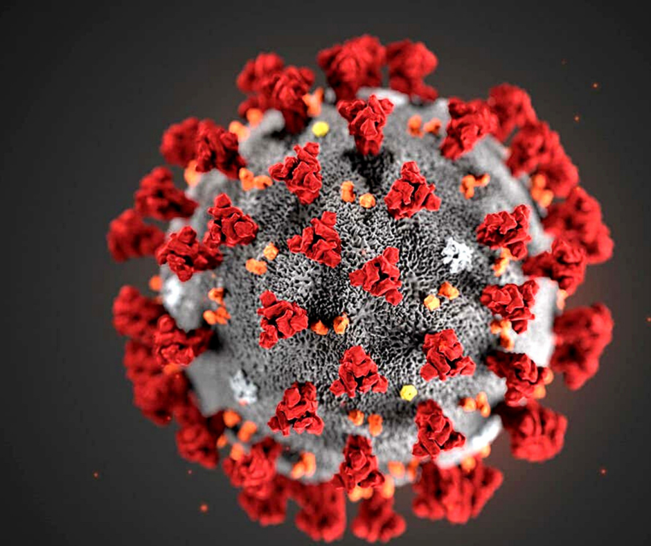 Measles Virus