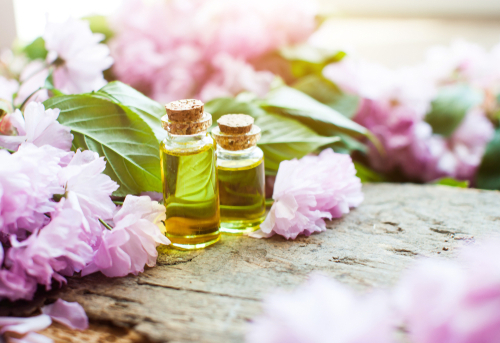 Essential oil and aromatherapy book