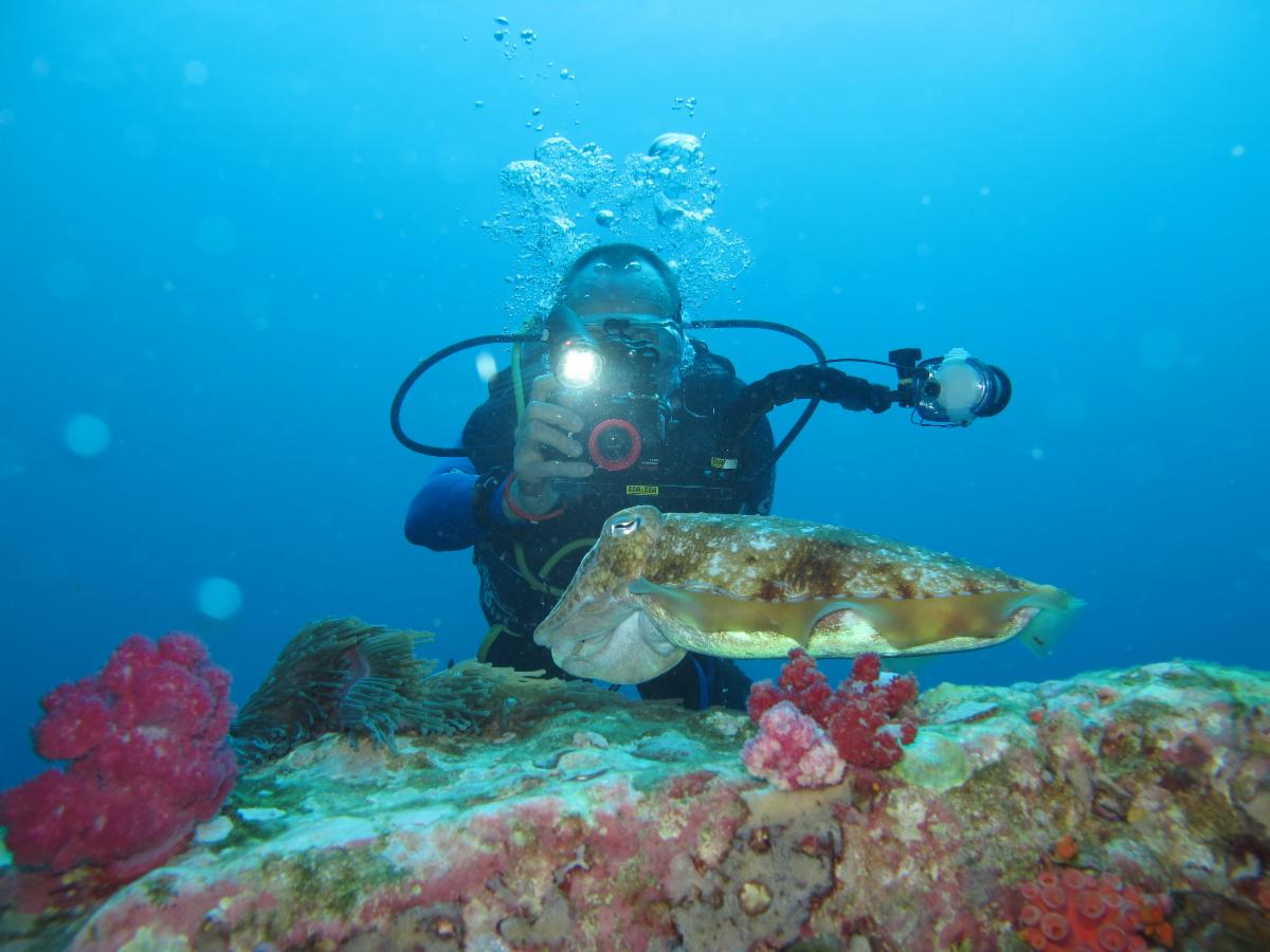 GayScuba Myanmar Diver & Cuttlefish