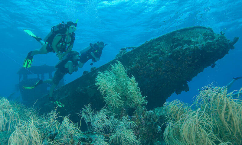 Coron Wreck Atlantis Azores