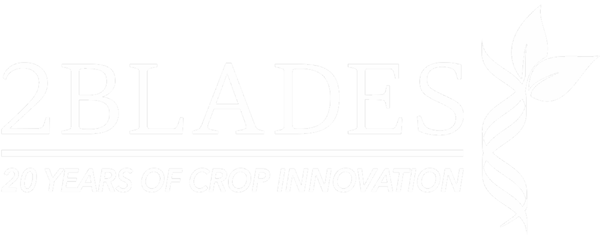 2Blades 20th Anniversary White Logo