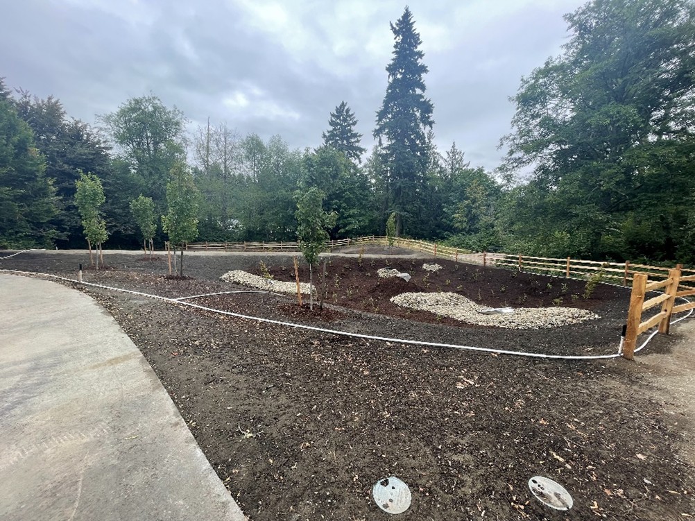 A plot of dirt with some new vegetation planted and some fencing around it. 