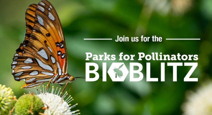 Logo with Join us for the Parks for Pollinators Bioblitz. Closeup of a monarch butterfly.