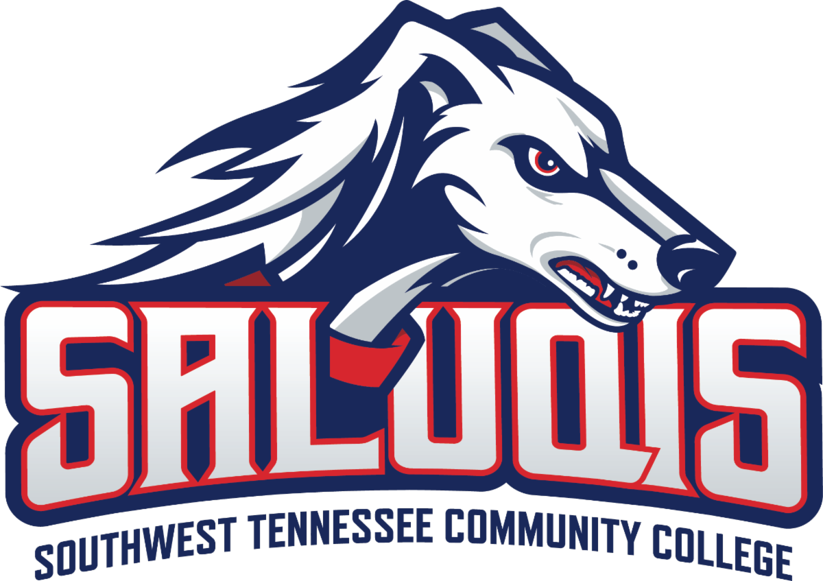 Logo of a fierce white dog head with blue and red accents above the word SALUQIS in bold stylized letters.