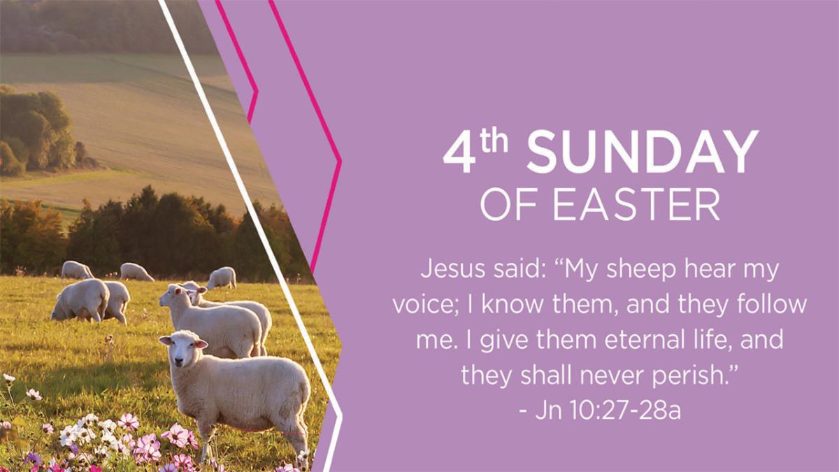 4th Sunday of Easter Mass promo image