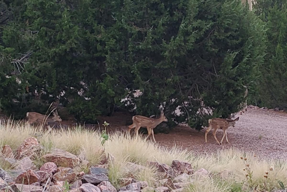 Dawson Ranch HOA News