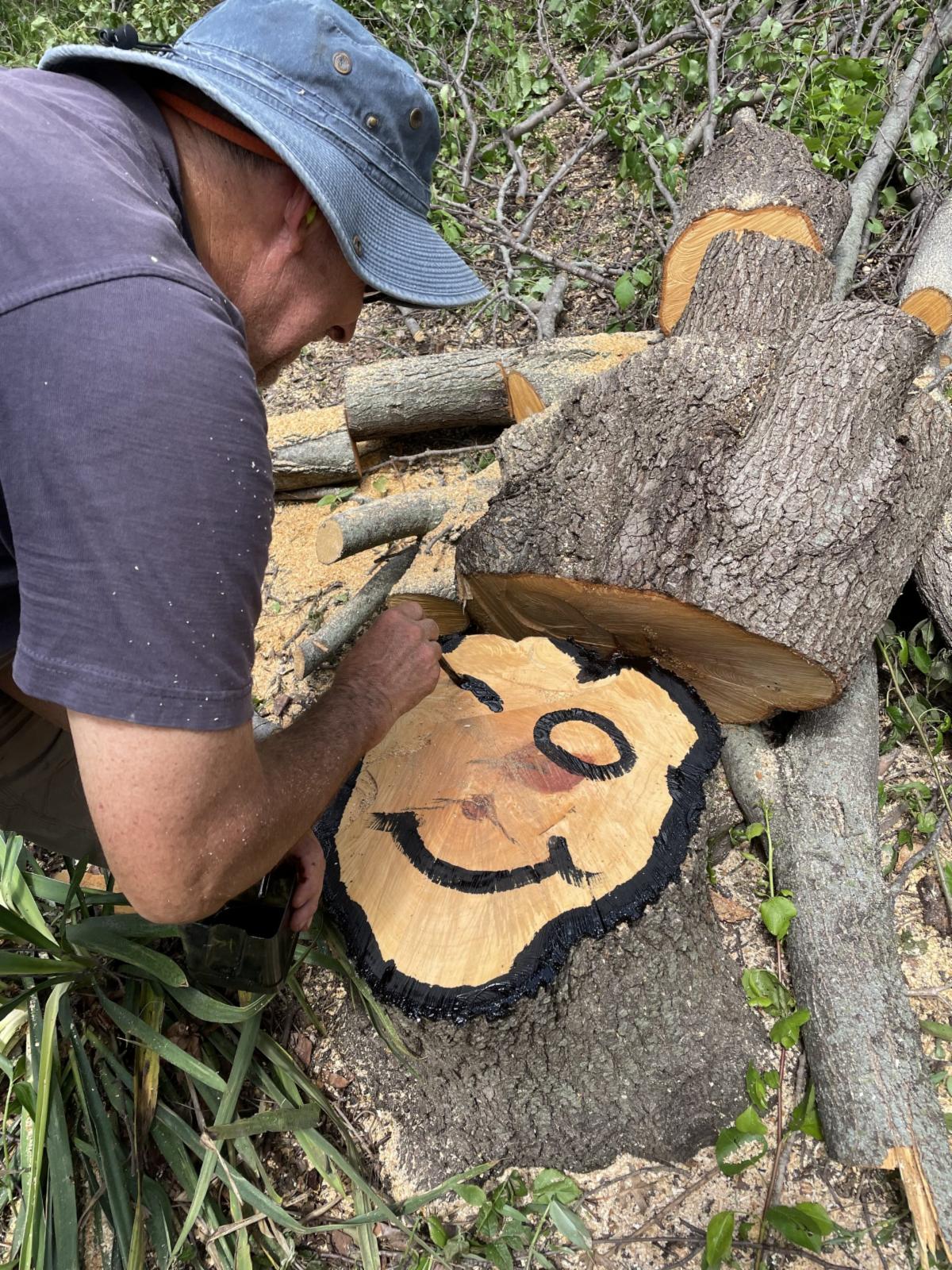 2026 MoIP Callery Pear Buyback Event participant leaning over his cut-down Callery pear tree, into the stump  of which he burned a smiley face.