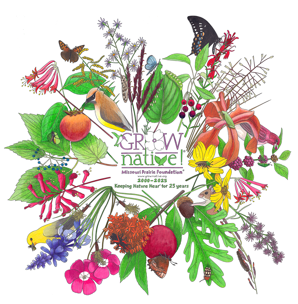 Vibrant illustration of native species around the Grow Native logo for the 25 anniversary 