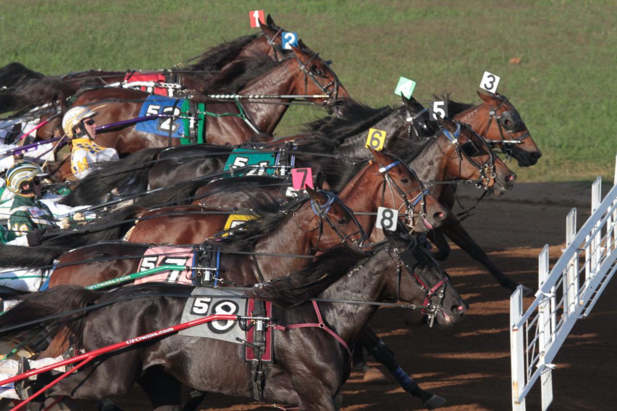 Corbin's Standardbred Track to Host First Meet at The Red Mile While