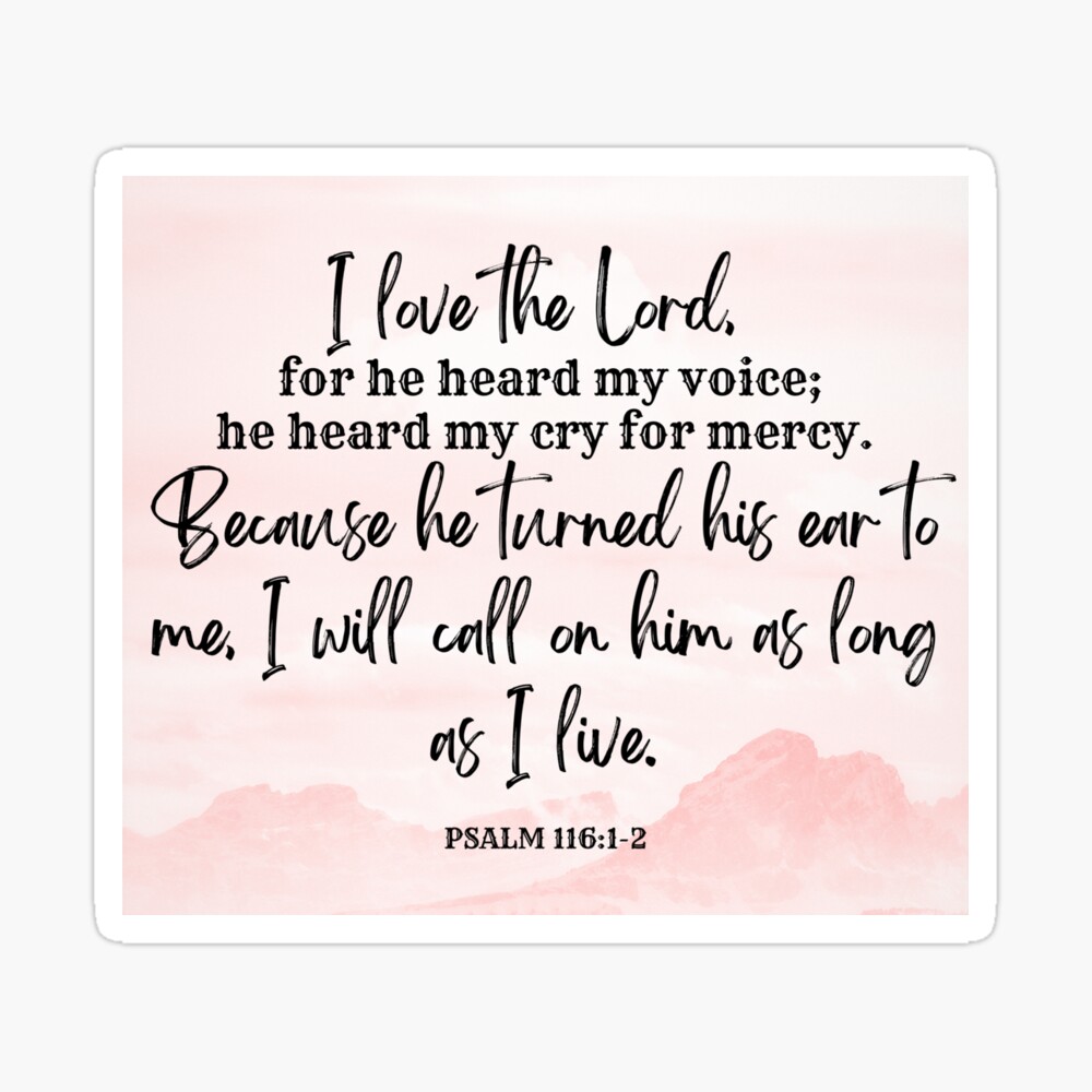 Weekly Update From RMBC