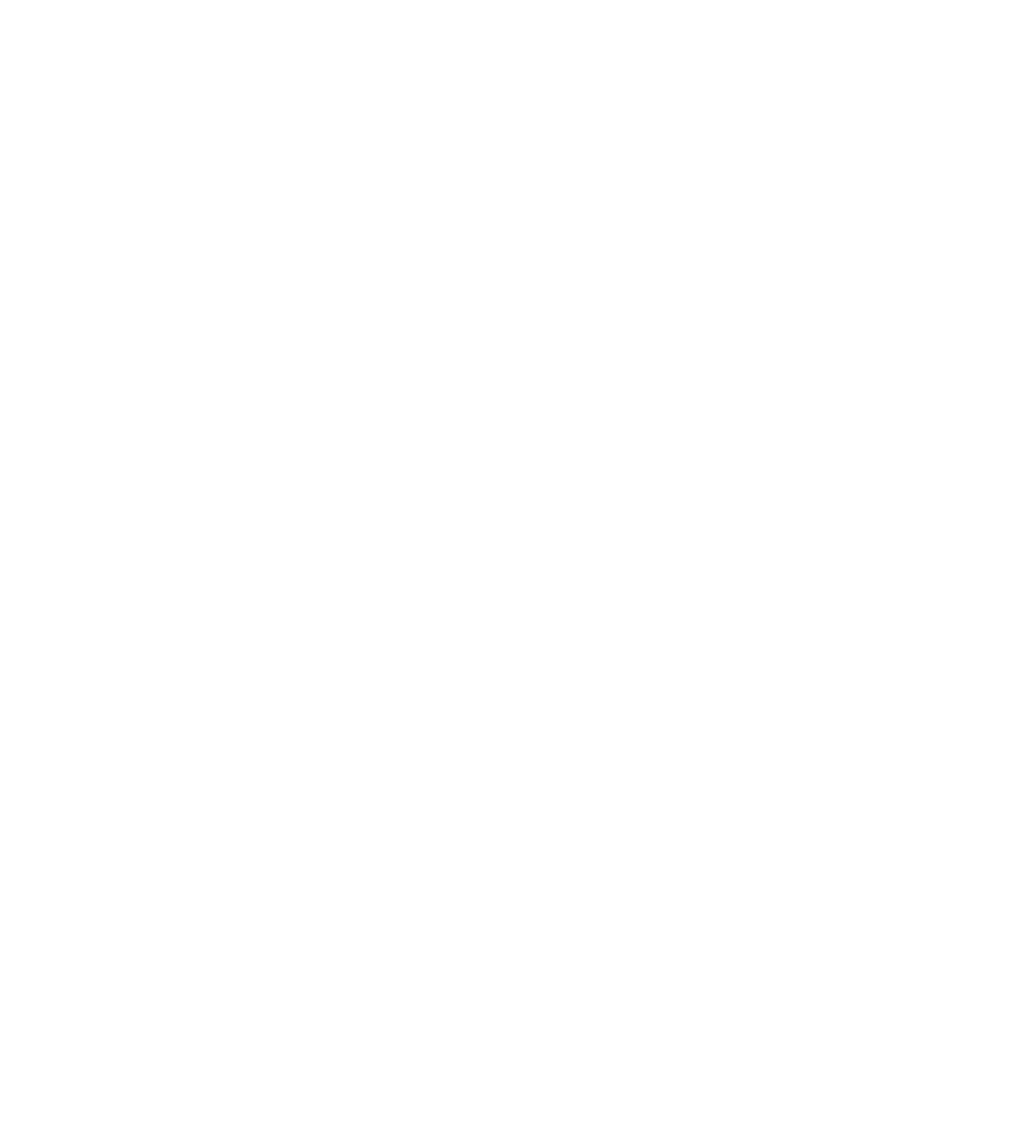 New Logo with border