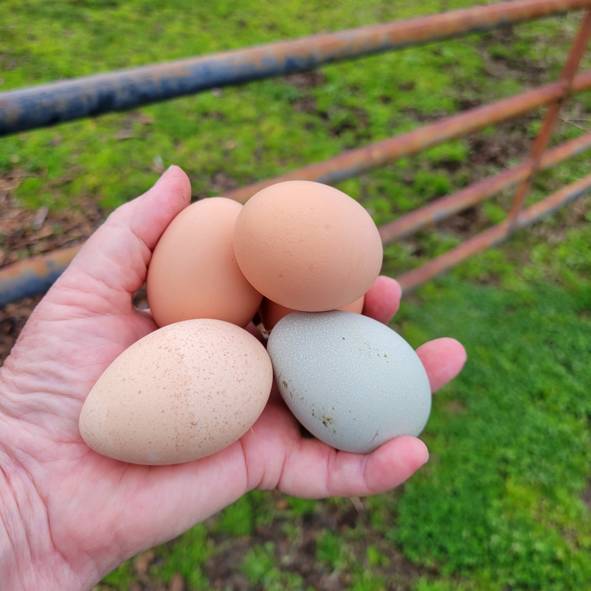 False Spring or the Real Thing?