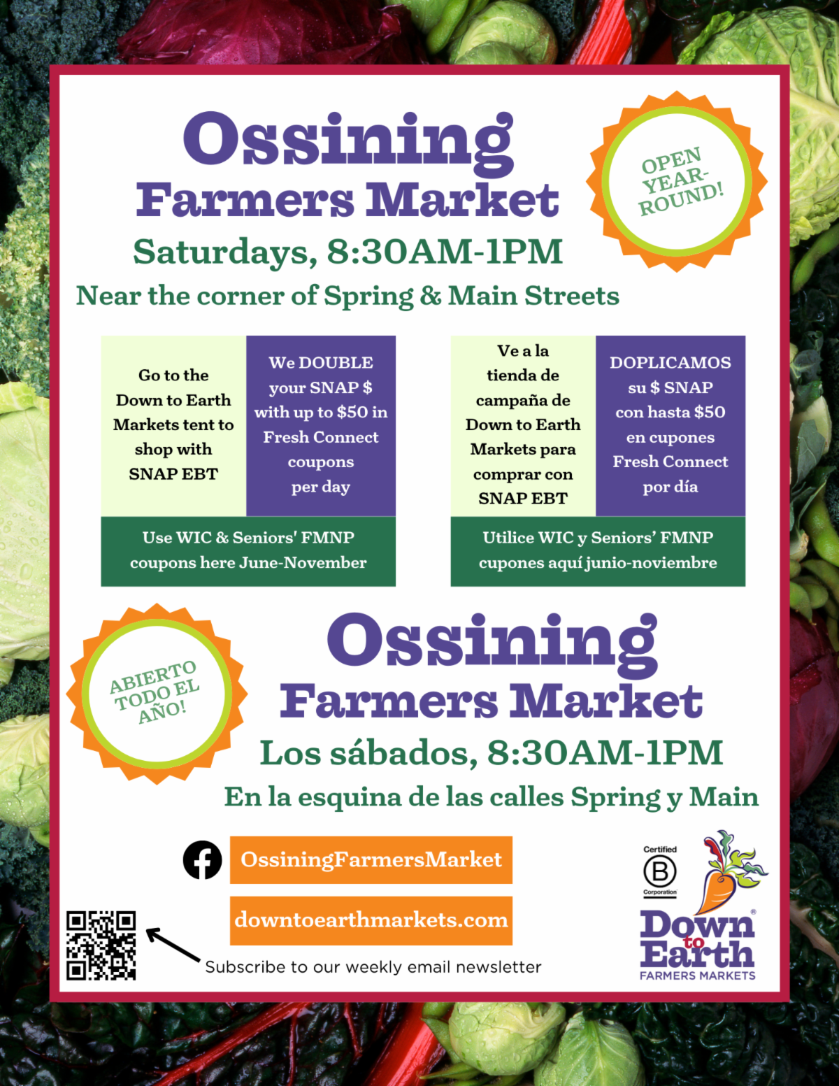 OSSINING WEEKLY WEB BLAST 12-11-2025