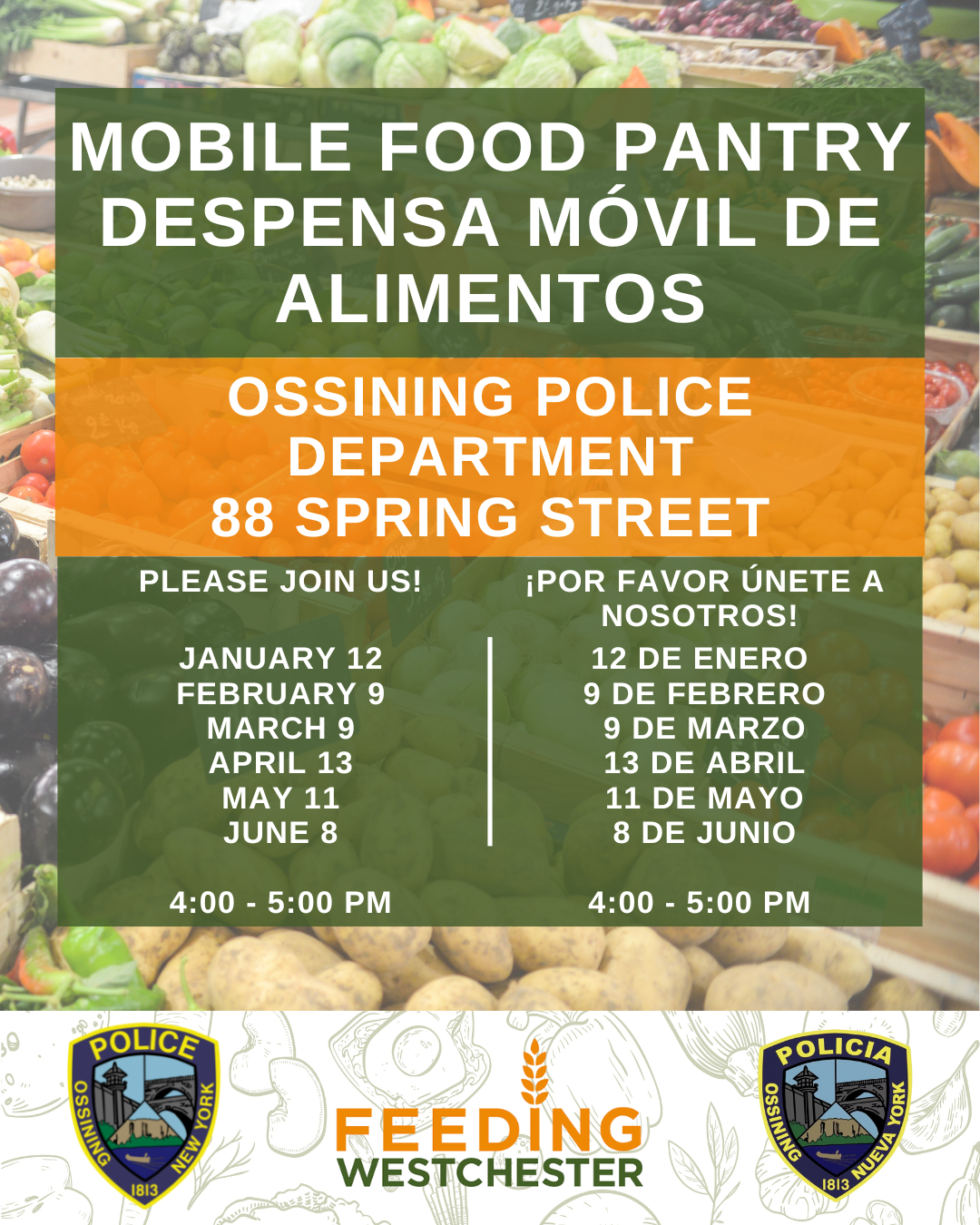 Mayor's Weekly Update