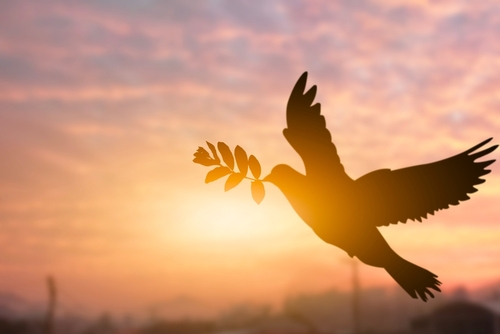 Silhouette shot of a pigeon holding tree leaf flying out over sunset time flare light blurred background_ peace and freedom concept_ copy space for individual text