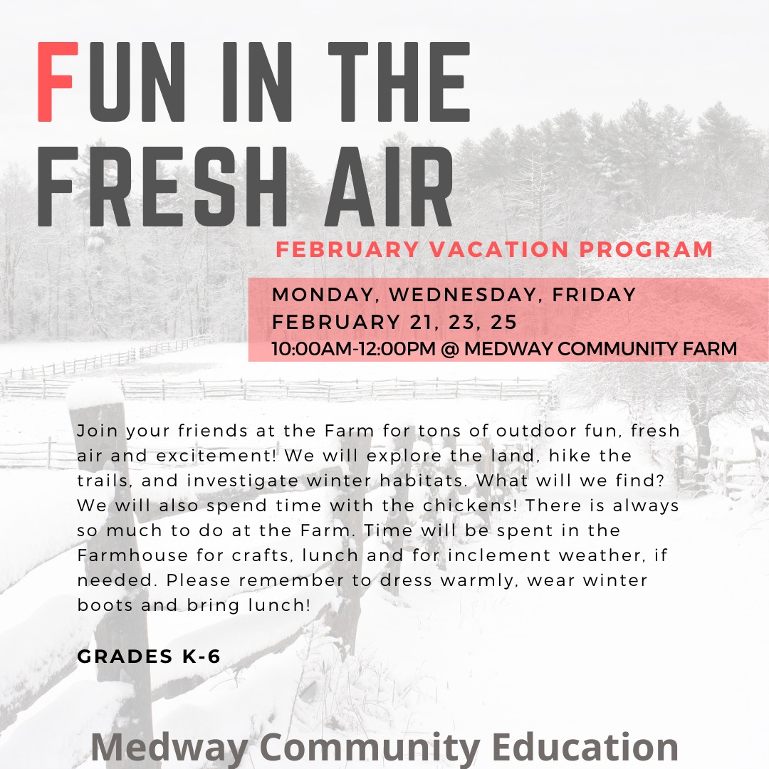 Medway Community Education Fun in the Air Program