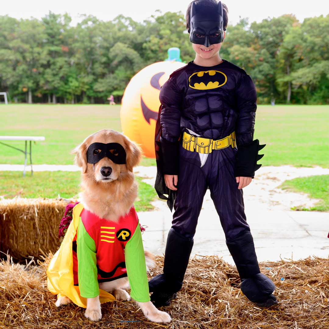 Medway Parks and Recreation Pickleball Clinics