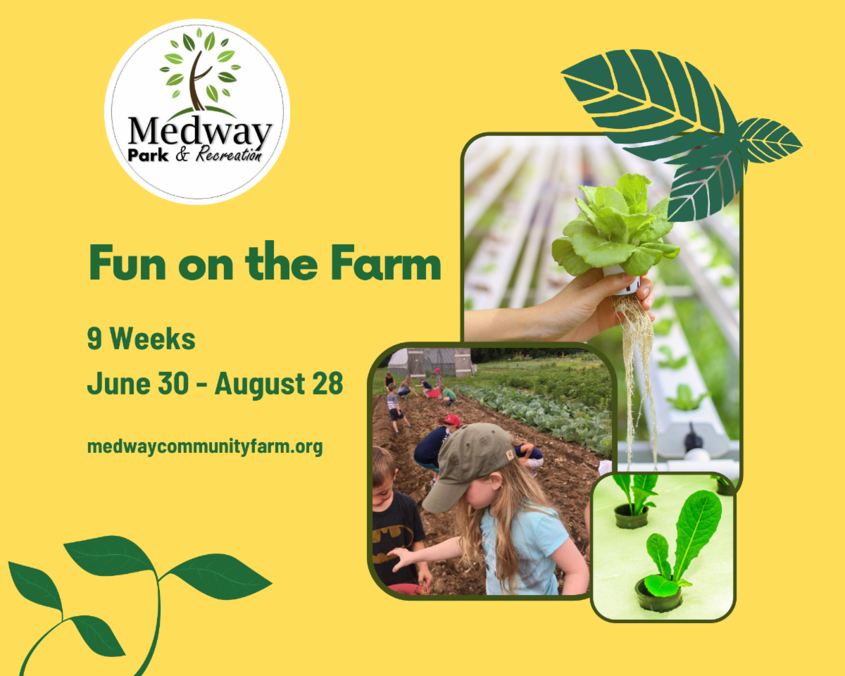 Medway Commuity Farm - Fun on the Farm