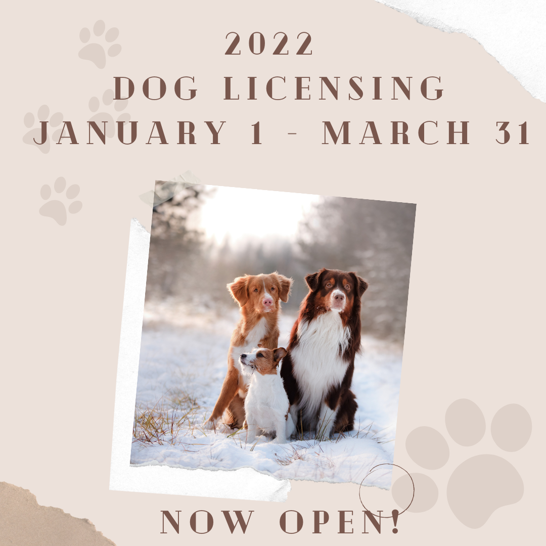 Town Clerk announces dog licensing/renewal open until March 31