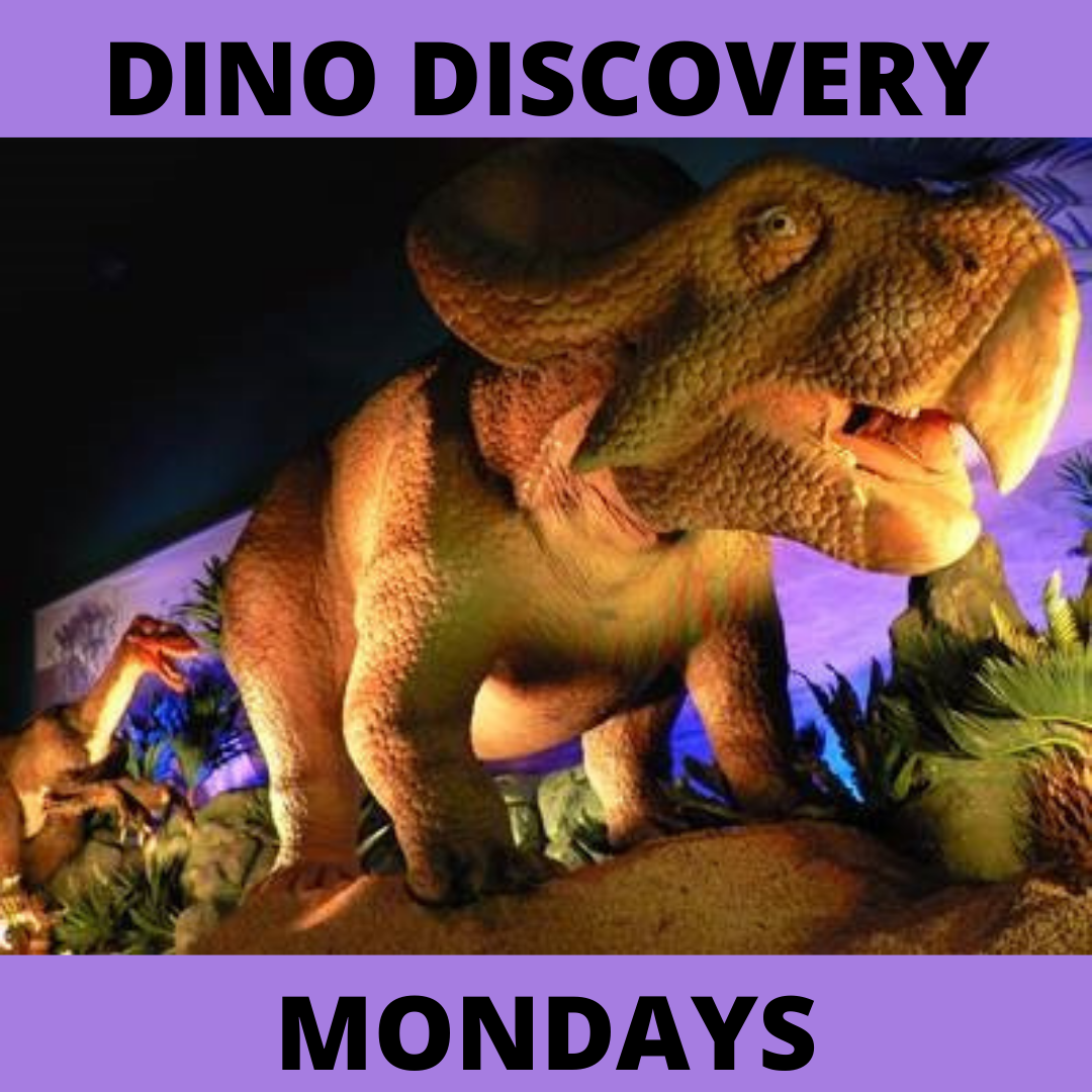 Medway Parks and Recreation Dino Discovery