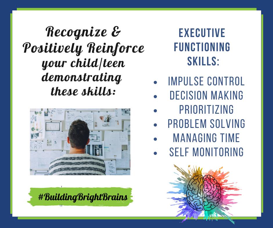 Building Bright Brains