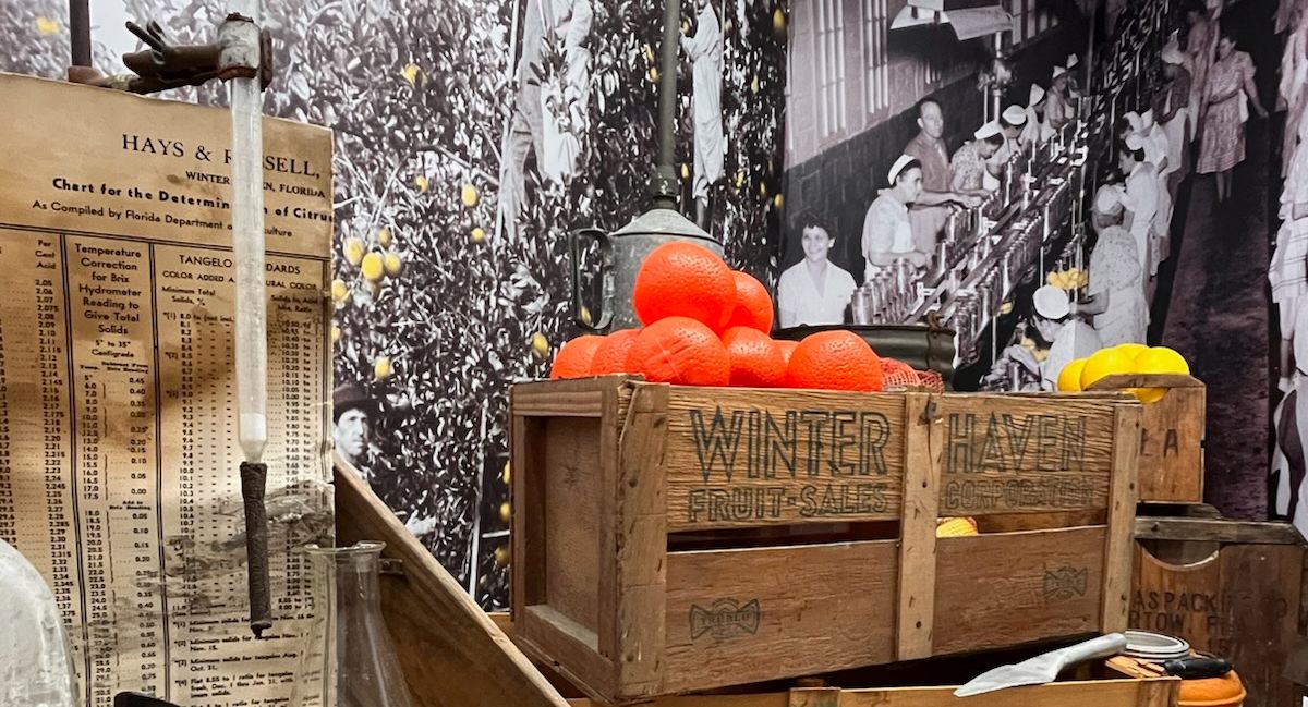 History Center Citrus exhibit
