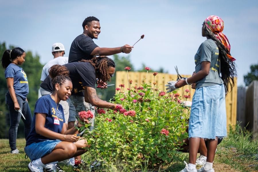 Solomon Hayes-Brown jokingly offers a freshly-cut zinnia - albeit slightly past its prime - to Kayden Skeete at the North Carolina Agricultural and Technical State University Student Community Farm as they participated in the Aggie Day of Service on September 6.