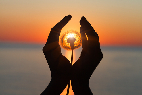 Online Retreats