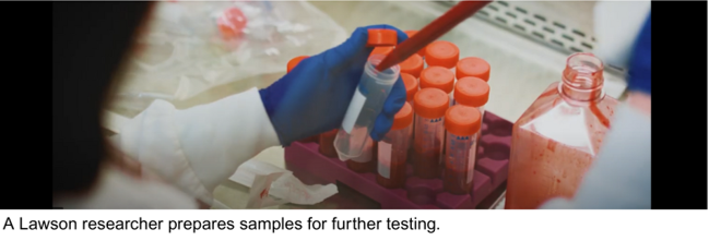A Lawson researcher prepares samples for further testing