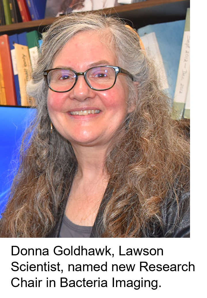 Donna Goldhawk, Lawson Scientist, named new Research Chair in Bacteria Imaging.
