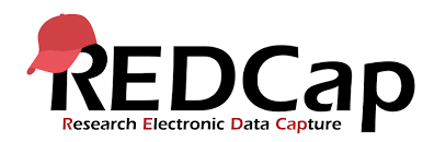 REDCap - Research Electronic Data Capture logo