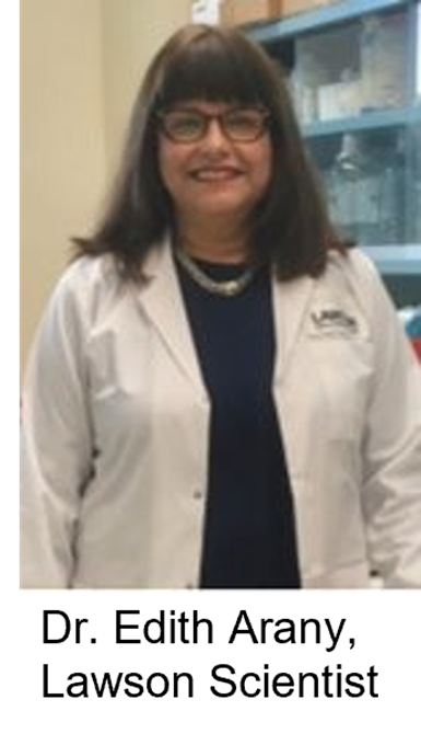 Dr Edith Arany Lawson Scientist
