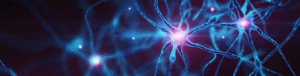 Rapid Response 2026 Program announcement.