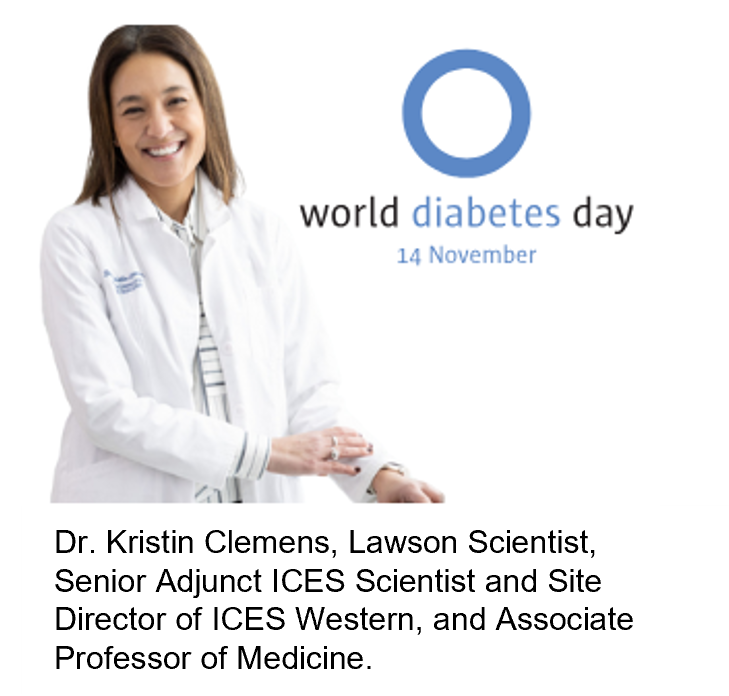 Dr. Kristin Clemens, Lawson Scientist, Senior Adjunct ICES Scientist and Site Director of ICES Western, and Associate Professor of Medicine.