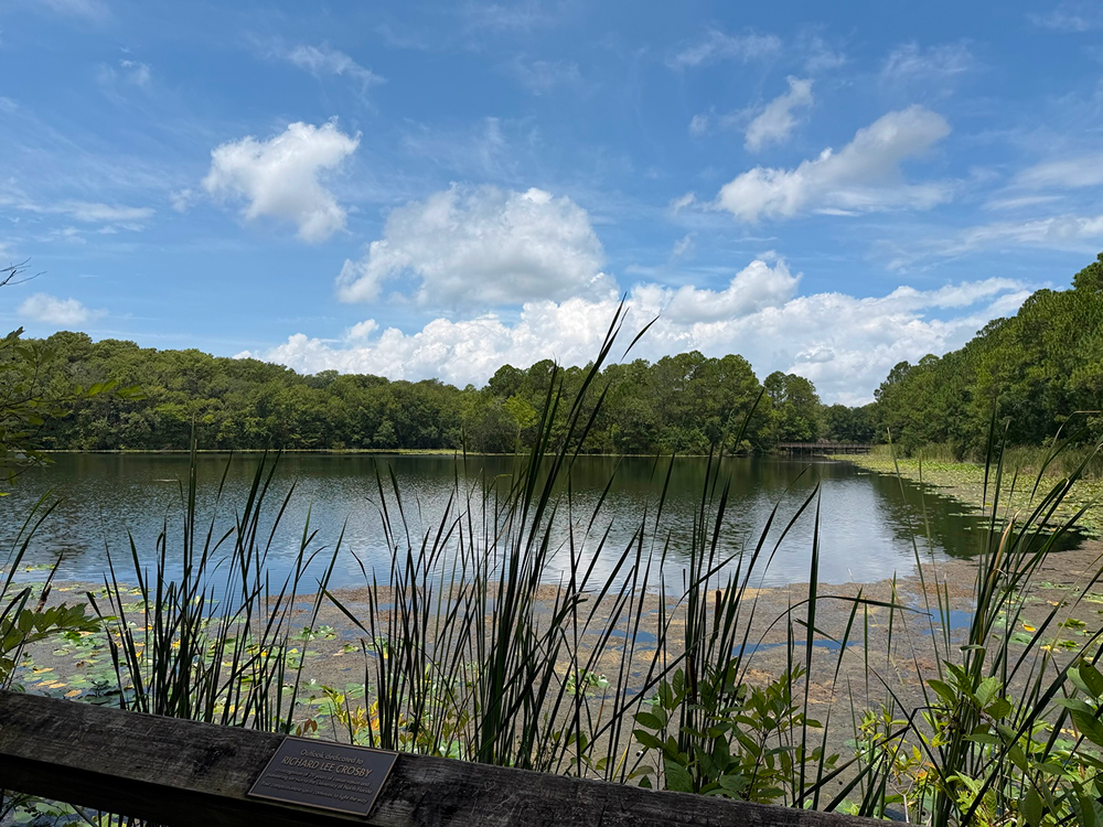Shanon sitting at the edge of the lake at UNF Nature Trails