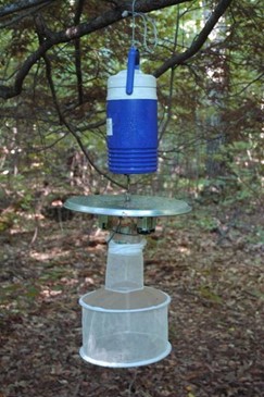 CDC Light Traps are used as a sensing tool to determine the mosquito species that are present in the area. Dry ice is used to attract the female mosquitoes.