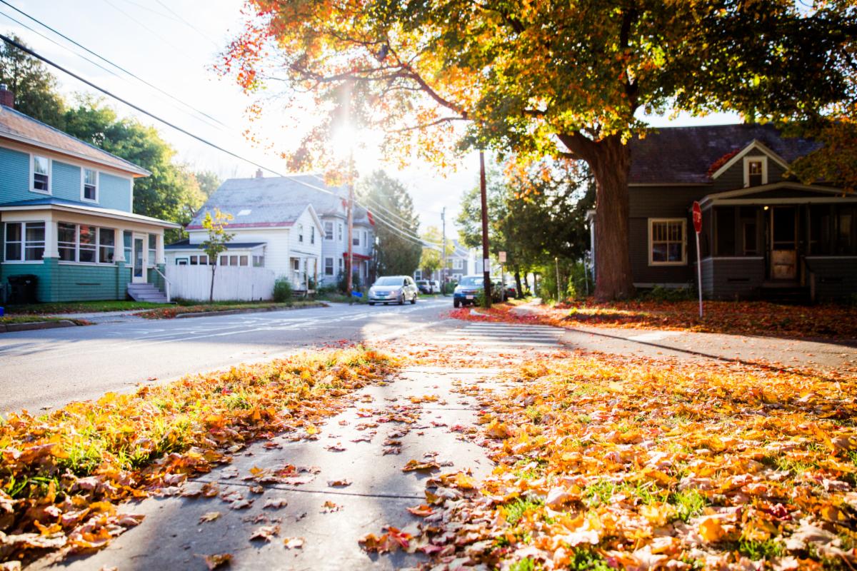 Fall leaves on the ground in a neighborhood. 