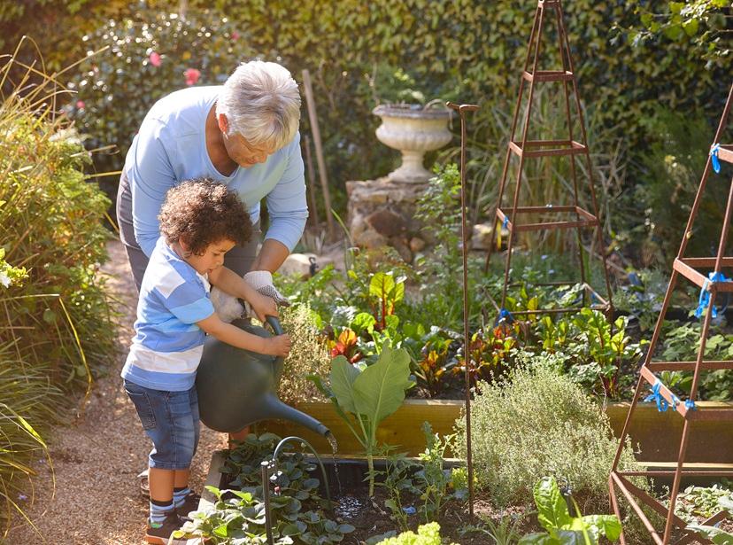 A grandmother and her young grandson water the garden together. Both the grandmother and the grandson are Black