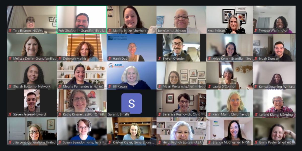 Screenshot of Zoom meeting with many people