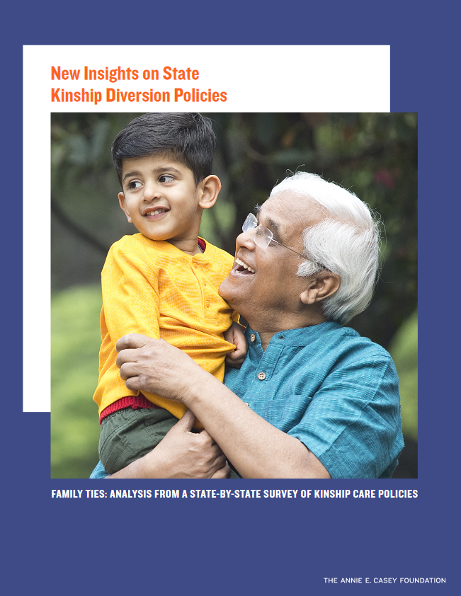 Cover of New Insights in State Kinship Diversion Policies