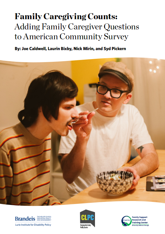 Cover page of the brief