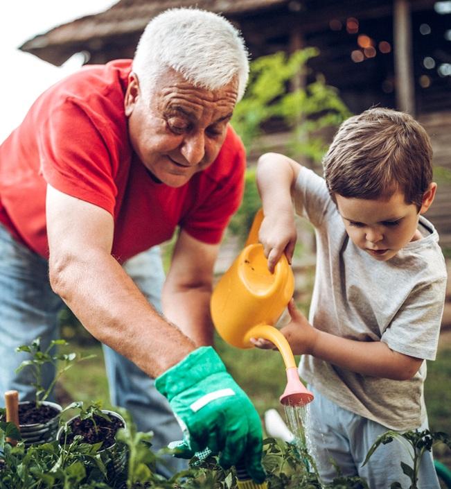 A white grandfather and young grandson garden together