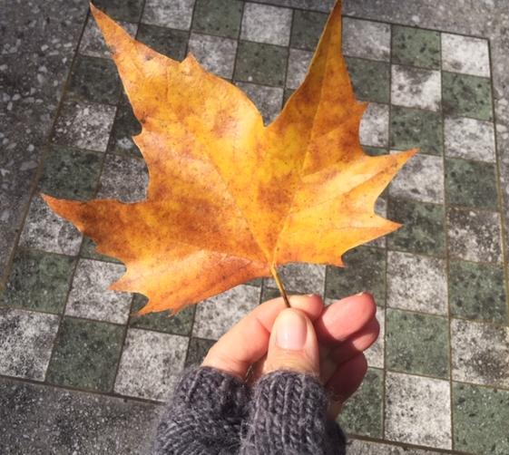 leaf
