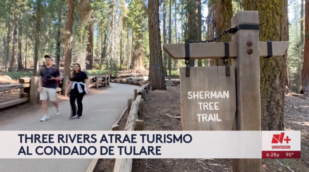Visitors walk along the Sherman Tree Trail in Sequoia National Park during Univision 21âs Tulare County tourism coverage.