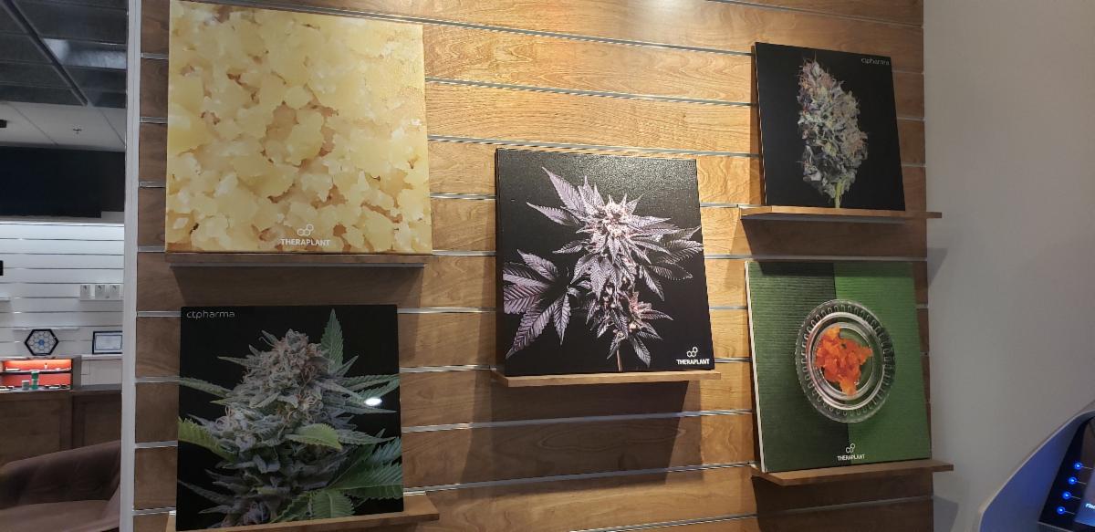 Virtual Member Showcase June 12 Fine Fettle Dispensary in Willimantic