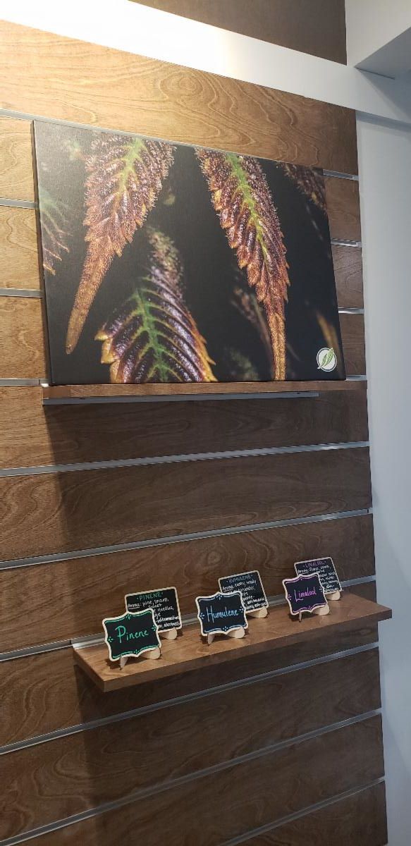 Virtual Member Showcase June 12 Fine Fettle Dispensary in Willimantic