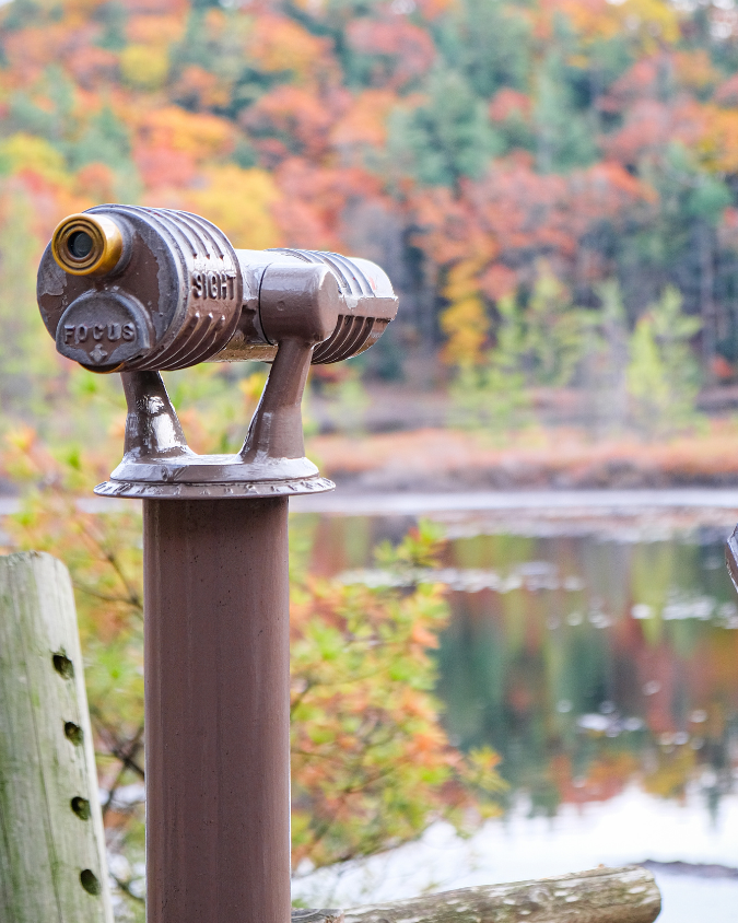 EnChroma-enabled scenic viewer overlooks a calm pond, with colorful autumn trees reflected in the water, creating a peaceful outdoor scene.