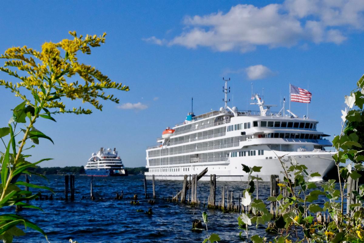A large white cruise ship with an American flag cruises past another cruise ship on blue water, framed by leafy plants under a sunny sky.