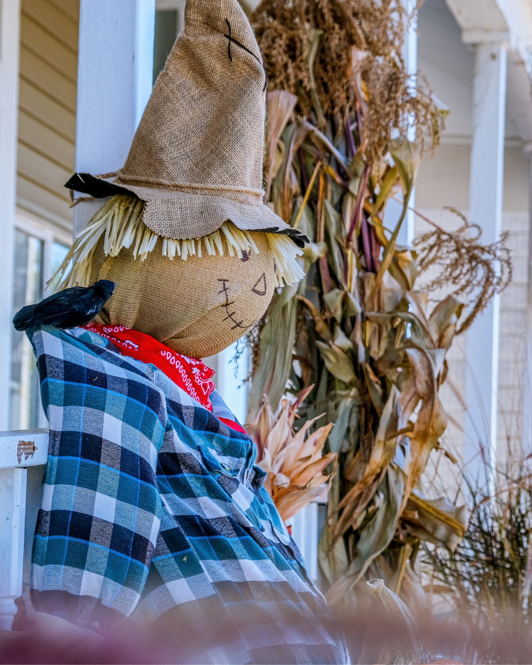 A rustic scarecrow with a burlap hat, stitched smile, plaid shirt, and red bandana sits on a porch beside dried corn stalks, with a black crow perched on its shoulder.