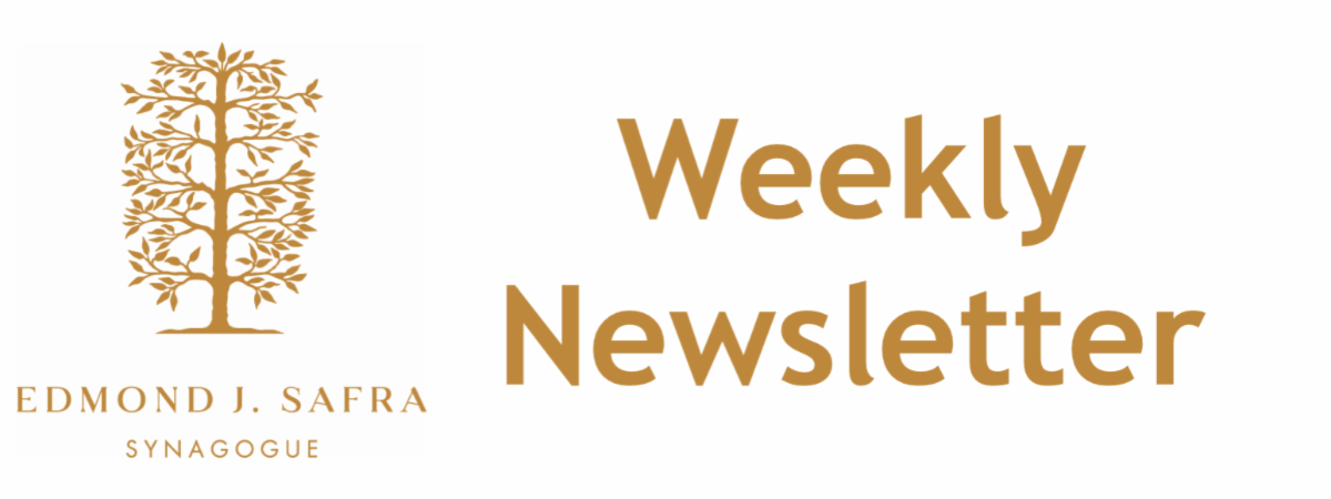 Weekly Newsletter BannerNEWColor.png